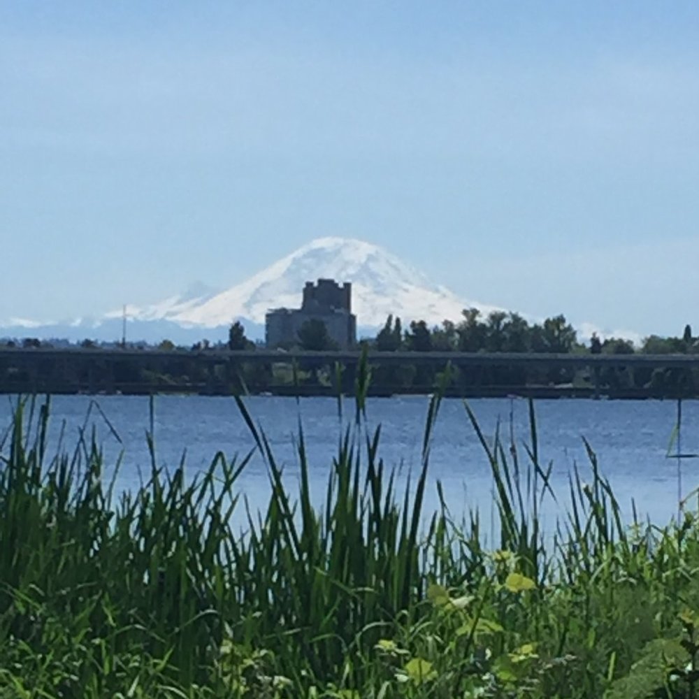 Meet your Posher, Jenn